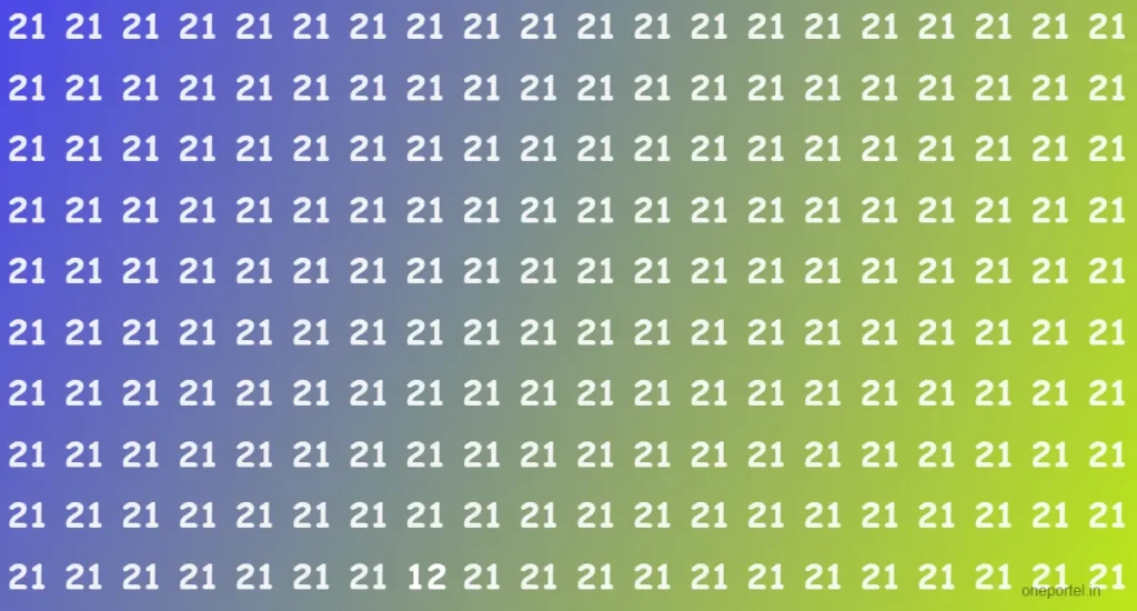 Optical Illusion Challenge