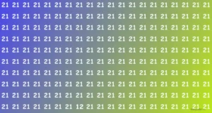 Optical Illusion Challenge